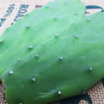 メキシコのスーパーフード「食用サボテンの栄養や効能」