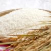 日本人のDNAには米が息づいている