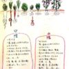 身体を元氣にするレシピを紹介【日本発祥である陰陽食養料理術パート1】