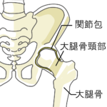 骨盤・股関節をいつも正しい位置に神経の機能、血液循環を整える【合掌合蹠運動】